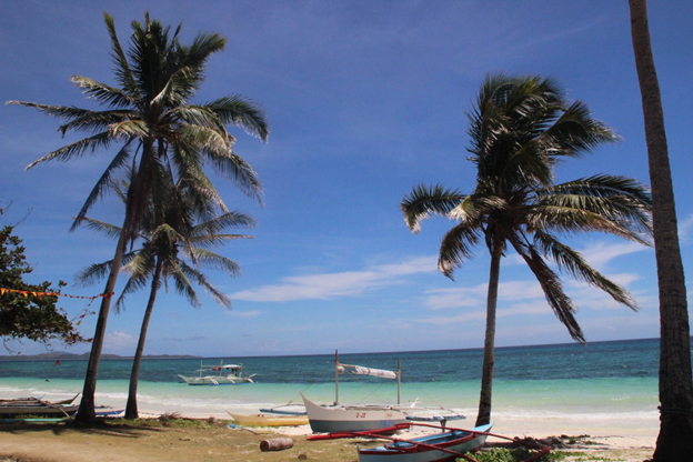 carabao island