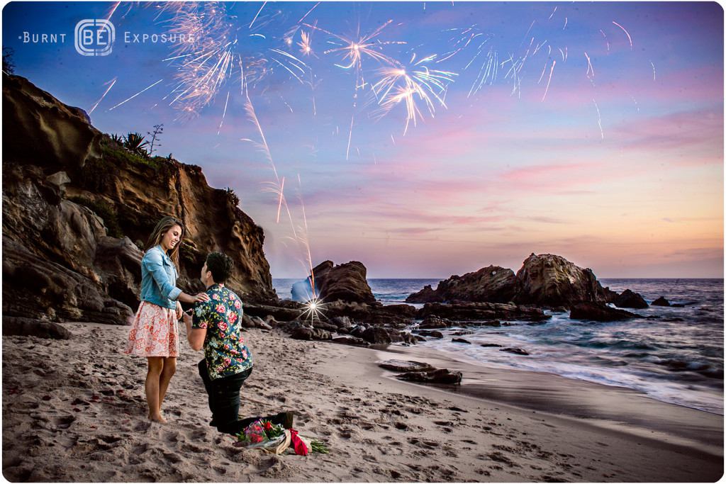 fireworks display proposal